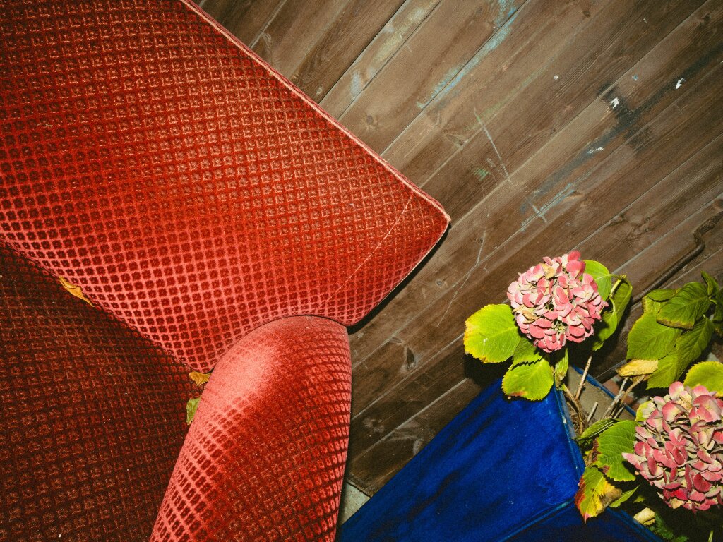 A red couch and a plant in a blue planter.